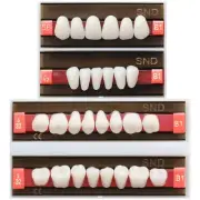 B1 Shade Dental 2Layer Synthetic Resin False Teeth Whitening Upper Lower Denture