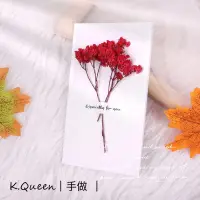 在飛比找蝦皮購物優惠-❤️K.Queen現貨❤️紅色水晶草。勇敢去愛永生花手做卡片