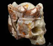5.3" Red Crazy Lace Agate Geode Carved Crystal Crown Skull, Realistic, Healing