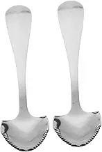 Kichvoe 2 Pcs Dessert Spoon Grapefruit Spoon Banquet Serving Spoon Tea Spoons Citrus Fruit Spoon Soup Spoon Melon Spoon Dinner Spoons Grapefruit Fruit Spoon Kiwi Spoon Metal Pendant Baby