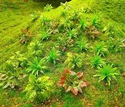 90pcs Mini Model Trees Plants Flowers Green Shrubs Bush Model, Aritificial Plants Model Train Scenery Architecture Flower Model Scenery