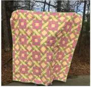 Crazy Daisy Comet Quilt Kit