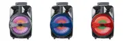 8" Portable Bluetooth Speaker w Mic, Built-In Handle & FM Radio (IQ-2078DJBT)