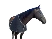 Horse Quilted Taffeta Anti-Rub Rug Bib Lined Shoulder Guard Mini-Xlarge