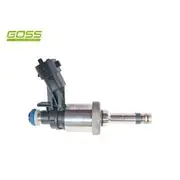 Goss Direct Injection New - PID004