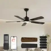 Ceiling Fans with Lights - 52 inch Black Ceiling Fan with Light and Remote/AP...