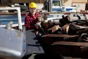 Scrap Metal Junk Collector Recycling Service Business Plan