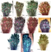 50 Stem Dyed Iridescent Peacock Eye Feathers 20-21" length 11 colors available