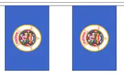 MINNESOTA U.S. STATE BUNTING 9 metres 30 flags Polyester flag