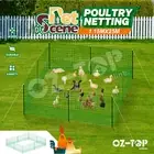 Chicken Fence Net Poultry Coop Runs Pen Farm Mesh Cage Habitat Safe House Turkey