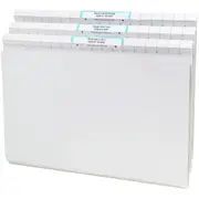 Avery 166007 Quickvue Files With Labels Box 50