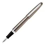 Pilot Cocoon Fountain Pen Titanium Fine Nib FCO3SRTIF