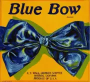 Riverside Blue Bow Orange Citrus Crate Label Art Print