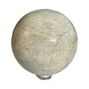 Fossil Coral Sphere - Stand Included - A
