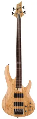 ESP-LTD B-204 Spalted Maple 4 Str Fretless