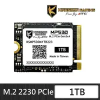 在飛比找momo購物網優惠-【AITC 艾格】KINGSMAN MP530_1TB NV