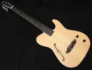 Schecter Ol-Fl-N-P Sntl Nylon String Thin Body Classical Electric Guitar F-Hole