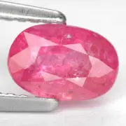 1.1 Ct. Marveluos Top Hot Red Unheated Ruby WITH GLC CERTIFY