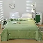 YongXinMY Summer Cooling Blankets for Night Sweats, Thin Lightweight Breathable Cooling Quilt, Washable Soft Comfort Double-Sided Blanket for Hot Sleepers Hot Weather Use (Green,79x79in)