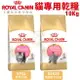 Royal Canin 法國皇家 貓專用乾糧 10Kg【免運】室內貓 腸道 泌尿 幼貓 體態貓 貓飼料『WANG』