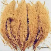 100g Coconut Husk Fiber Ceylon Organic Growing Orchids, Anthurium Eco-Friendly