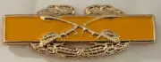 US Army Combat Cavalry hat/lapel pin badge G010506