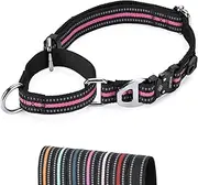JIPIMON Martingale Dog Collar Reflective Nylon Soft Cushion Alloy Buckle Training Pet Collar Small Medium and Large Dogs (Medium, Purple)