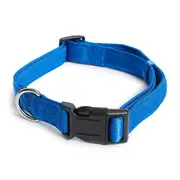 All Day Comfort Adjustable Dog Collar Blue