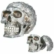 Diamond Plate Skull Container - Collectible Skeleton Figurine Model