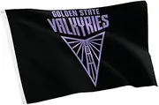 Desert Cactus Golden State Valkyries Flag Team WNBA 100% Polyester Indoor Outdoor 3x5 feet Flag (Design A)