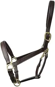 Coldstream Leather Padded Head Collar (UK Size: Pony) (Brown)