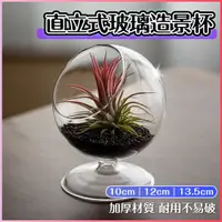 在飛比找蝦皮購物優惠-【台灣出貨】 直立式玻璃造景杯 玻璃球 玻璃圓球 生態缸 園