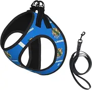 Oklahoma State Flag print Dog Harness and Leash Set, Reflective Adjustable Puppy Vest for Small Medium Large Dogs, Cats