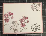 Card Set Of 4 Stampin Up Melon Mambo & Blushing Bride Simply Soft One Layer