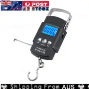 Portable Hand-Held Scale Luggage Scale 50 Kg Hook Scale With Measuring TapeㅿFish