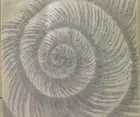NWT Pottery Barn Coastal Ocean Swirl Pillow Cover 18" sequins shell