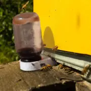 Bee Hive Feeder Hive Top Front Bee Entrance Feeders Wear Tool