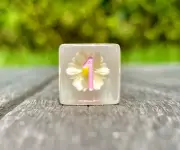 Dragon's White Daffodil - 7 Piece Resin Polyhedral Tabletop 5e Gaming Dice Set
