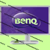 在飛比找露天拍賣優惠-超低價BenQ VW2430H-FL 24吋 VA DVI,