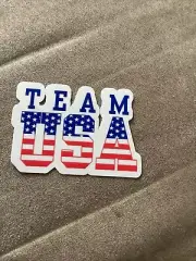 Team USA STICKER