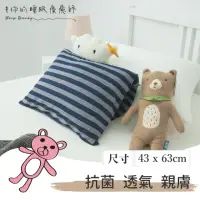 在飛比找momo購物網優惠-【Dpillow】抗菌除臭針織兒童枕頭套(奈米氧化鋅纖維)