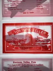 15 FORTUNE TELLING FISH Magic Trick Joke Gag Gift Giveaway Party Invite