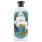 Herbal Essences Bio:Renew Argan Oil of Morocco Repairing Shampoo 400mL