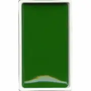 ZIG Kuretake Gansai Tambi Single pan 52 Hooker's Green