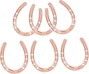 COMNESTBI 6pcs Vintage Horseshoe Keychain Charms Rustic Hanging Decor for Home Parties Unique Luck Horseshoe Ornaments Charming Wall Decor Party Favors