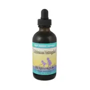 Echinacea/Astragalus Blend Alcohol-Free 4 FL Oz