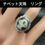 Bodhi Dzi Beads Ring, Matte Finish, Natural Stones, Feng Shui Amulet, Unique