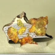 MUSEUM QUALITY IMILAC Pallasite METEORITE Top quality full slice CHILE