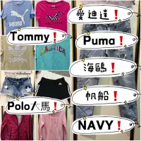 在飛比找蝦皮購物優惠-愛迪達 Puma Tommy 海鷗 Nautica 帆船 N