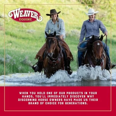Weaver Leather Ladies' Spur with Plain Buffed Brown Band